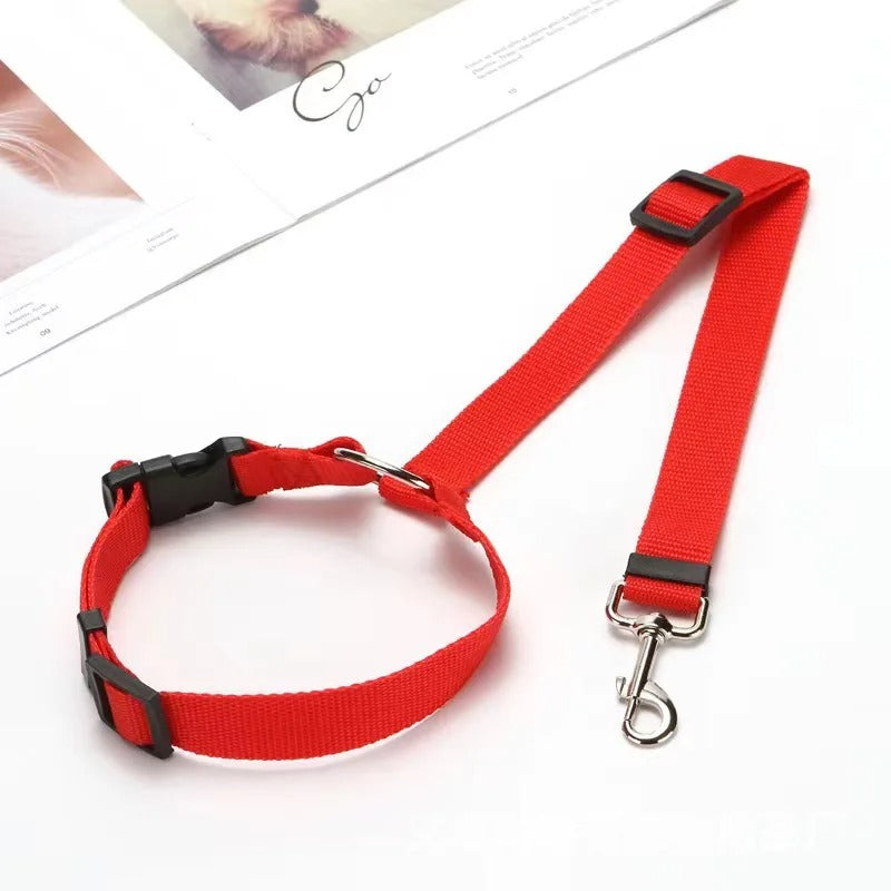 OneUP Pet Nylon Multipurpose Car Seat Belt Lead